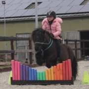Lola Shetlander foto 1