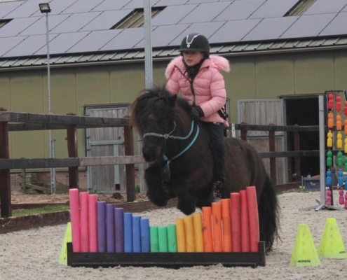 Lola Shetlander foto 1