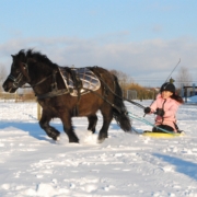 Lola Shetlander foto 3