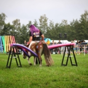 My Little Ponies foto 1