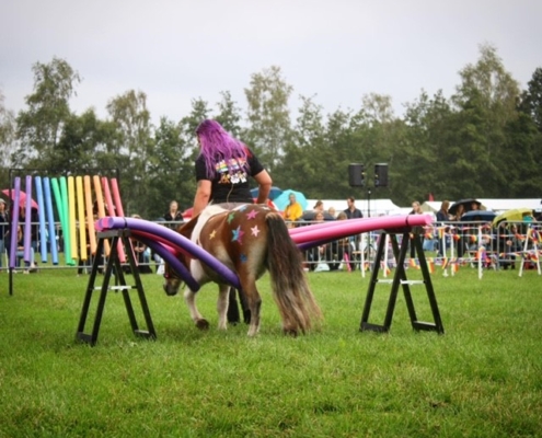 My Little Ponies foto 1