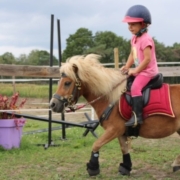 My Little Ponies foto 2