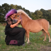 My Little Ponies foto 4