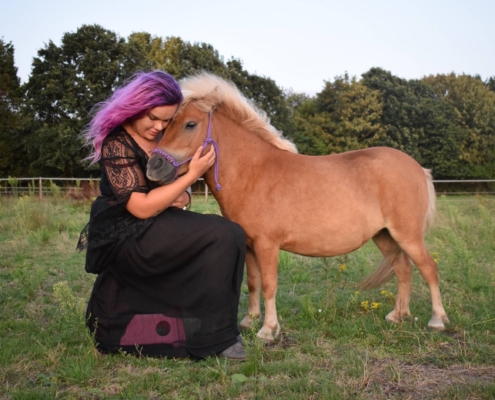 My Little Ponies foto 4