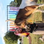 My Little Ponies foto 5