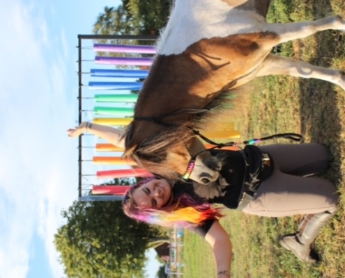 My Little Ponies foto 5