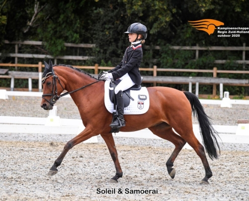 Soleilsportponys foto 4