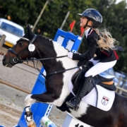 Soleilsportponys foto 5
