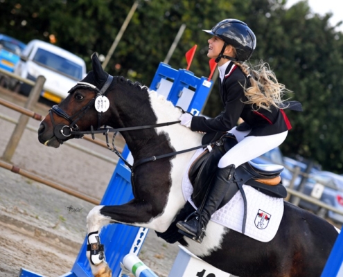 Soleilsportponys foto 5