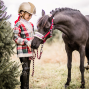 Kerst Mini Amelie & Beauty