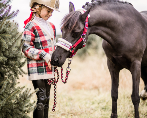 Kerst Mini Amelie & Beauty