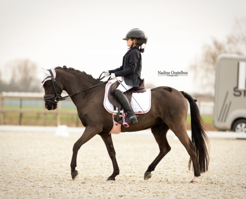 Amelie_5