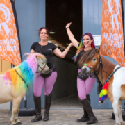 B8BF54EB-876A-4879-A6FF-8F85B3E4E3AE My little ponys