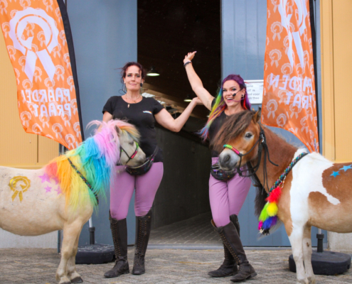 B8BF54EB-876A-4879-A6FF-8F85B3E4E3AE My little ponys