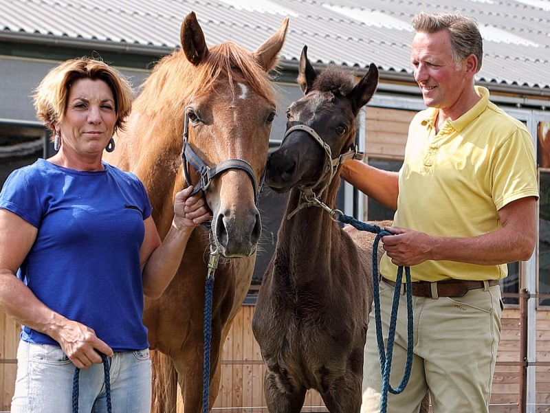 WE_Paardenhoeve_Marc_Viev