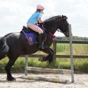 Abby_Springen