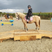 Lexie_verwimp brug