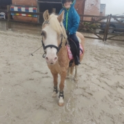 Lexie_verwimp buitenbak