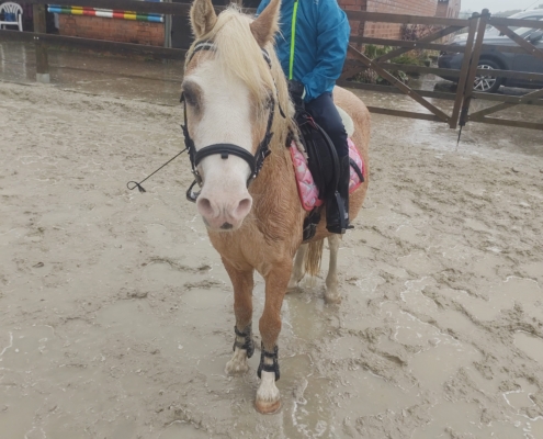 Lexie_verwimp buitenbak