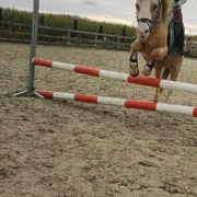 Lexie Verwimp springen