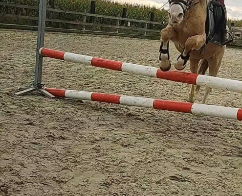 Lexie Verwimp springen