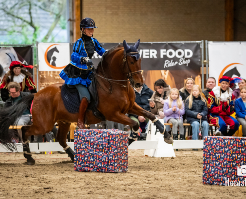 Kleinformaat Go social Sinterklaasshow-353