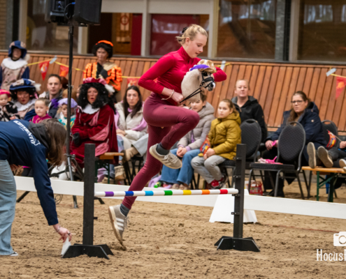 Kleinformaat Go social Sinterklaasshow-380