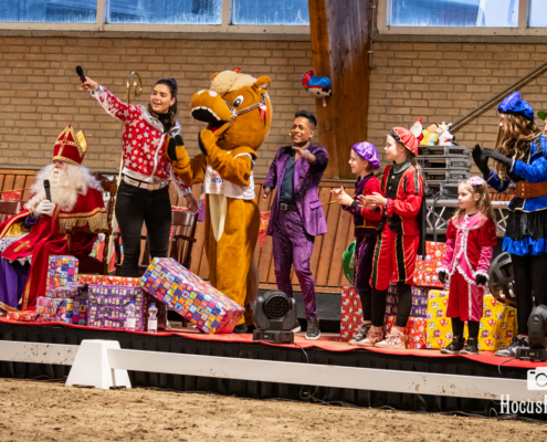 Kleinformaat Go social Sinterklaasshow-421