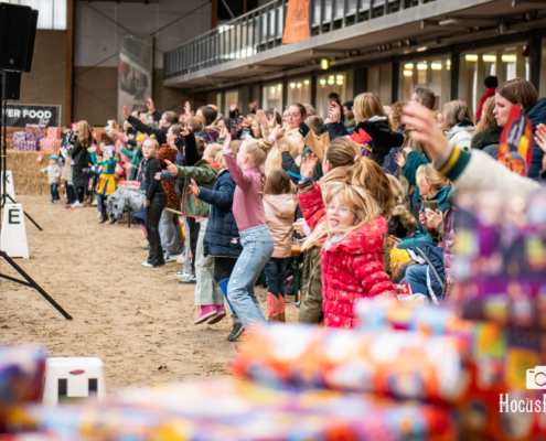 Kleinformaat Go social Sinterklaasshow-685