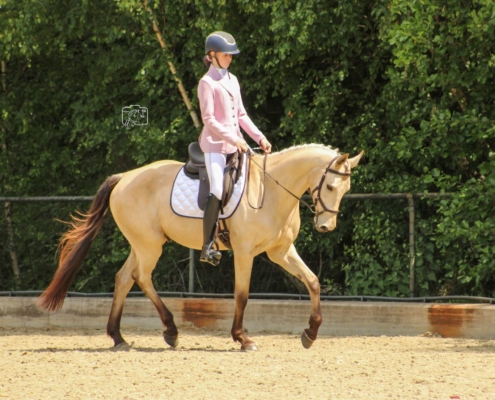 JuliaHamers (1)