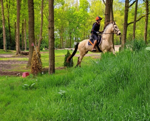 JuliaHamers (6)